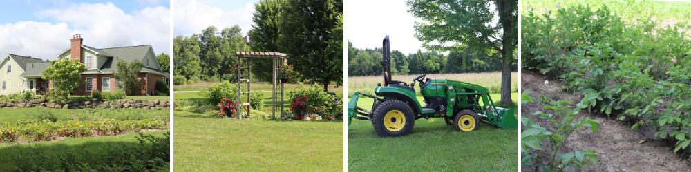 dragonfly farm field to table location 2024